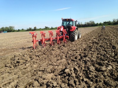 Vermietung von 3+4 Schar Pflug Maschio