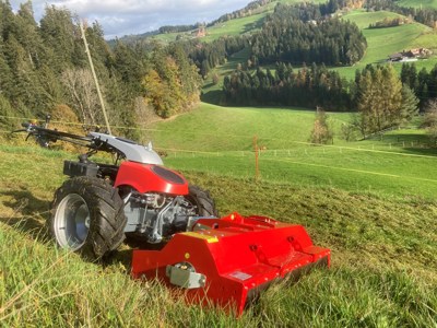 Aebi, Rapid Mondo , Euro, Monta, Universo, Orbito, Mulcher 1,20m