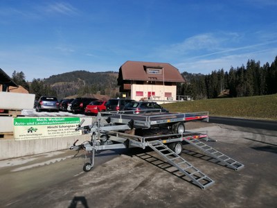 Daltec Anhänger für Motormäher und Div.Transporte